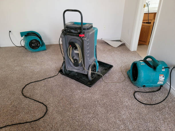 Best 24-hour water damage restoration  in Monsey, NY