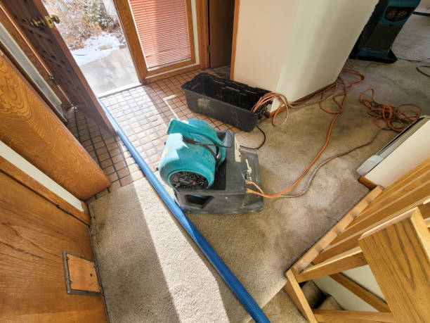 Best Water damage cleanup near me  in Monsey, NY