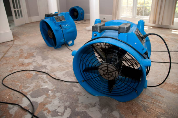 Best Emergency water damage restoration  in Monsey, NY