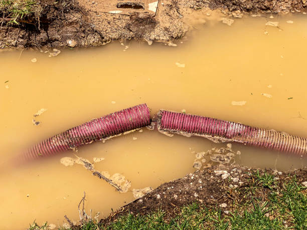Best Flood damage cleanup  in Monsey, NY