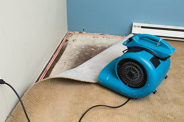 Best Residential water damage restoration  in Monsey, NY